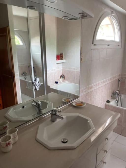 Belle Villa Basque Avec Piscine Et Jardin De 3000M2 생장드루즈 외부 사진